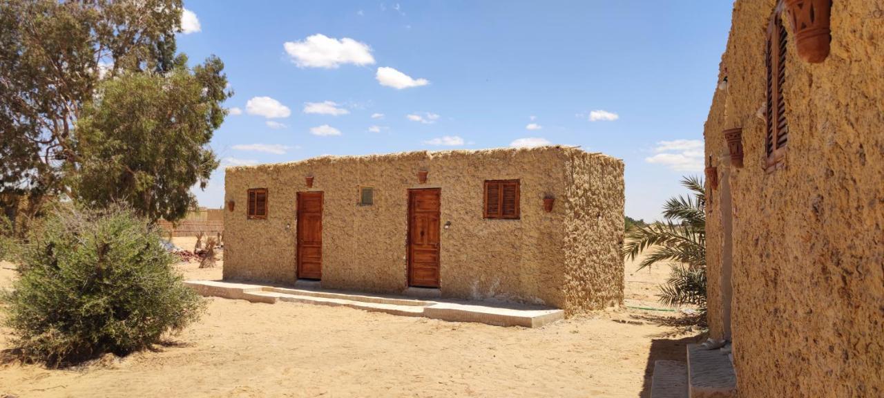 Cafour House Siwa - Hot Spring Hotel Siwa Oasis Ngoại thất bức ảnh