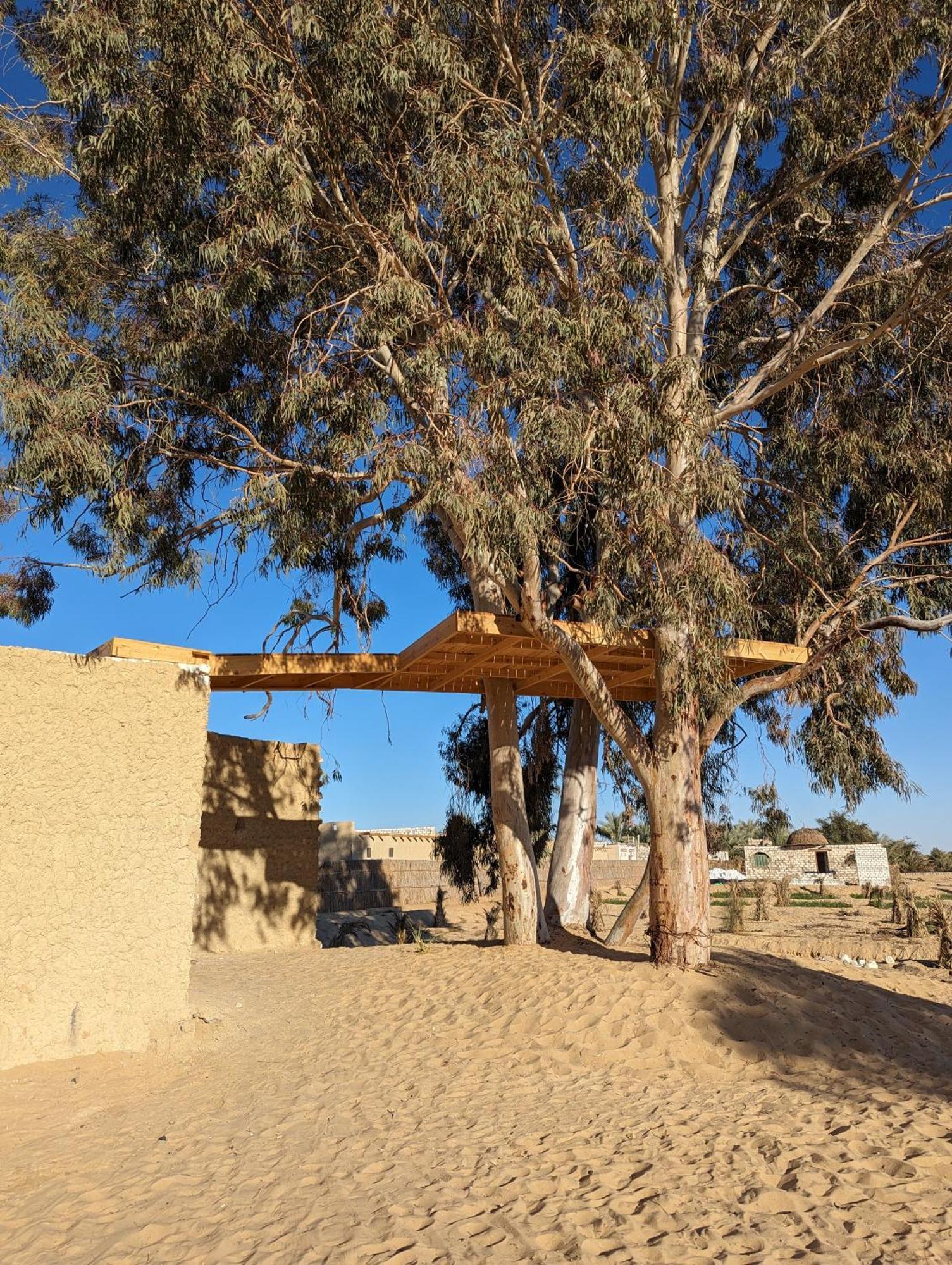 Cafour House Siwa - Hot Spring Hotel Siwa Oasis Ngoại thất bức ảnh