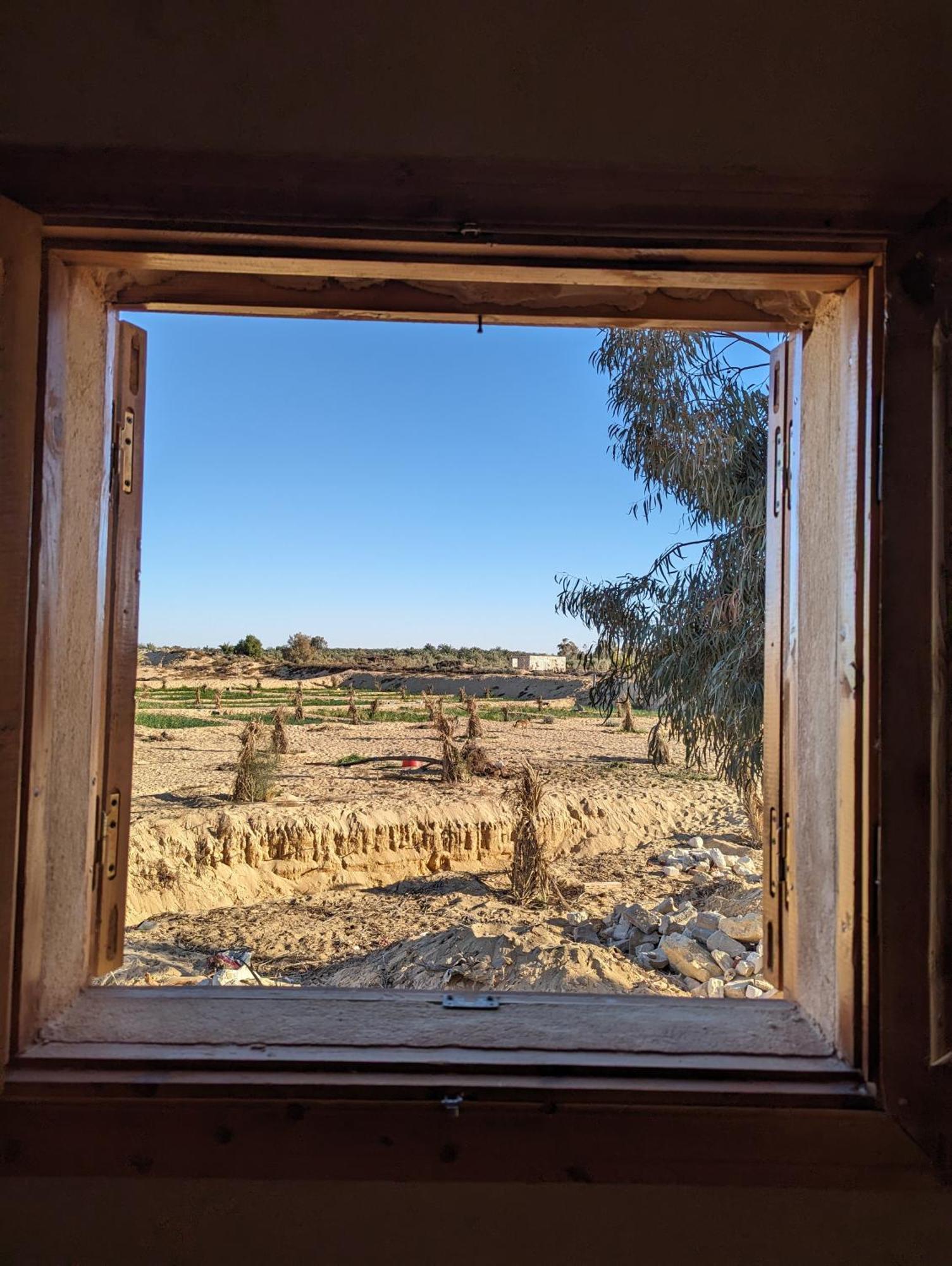 Cafour House Siwa - Hot Spring Hotel Siwa Oasis Ngoại thất bức ảnh