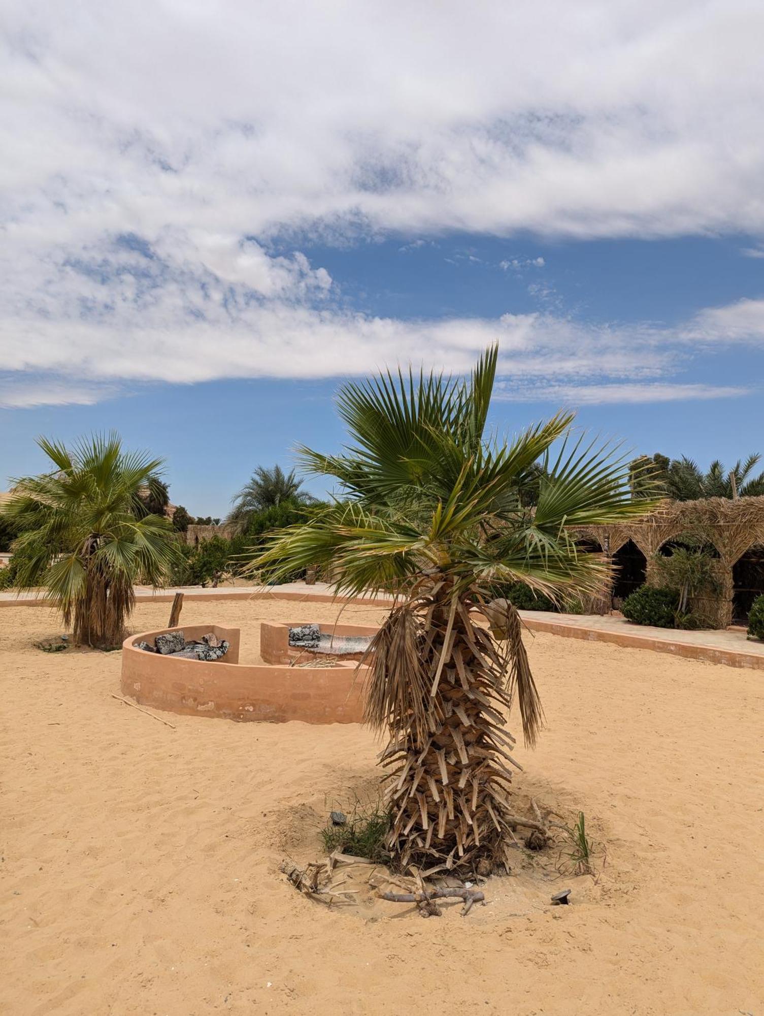 Cafour House Siwa - Hot Spring Hotel Siwa Oasis Ngoại thất bức ảnh