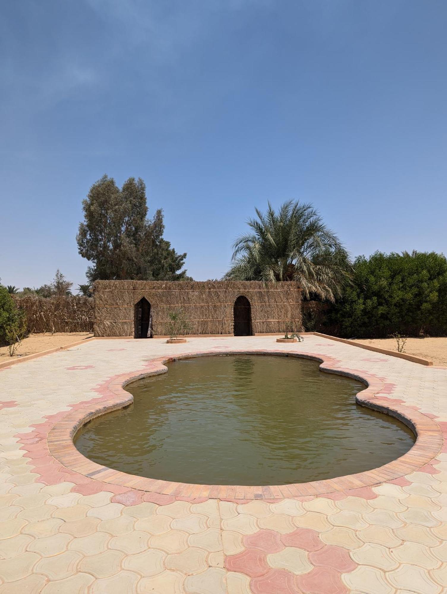 Cafour House Siwa - Hot Spring Hotel Siwa Oasis Ngoại thất bức ảnh